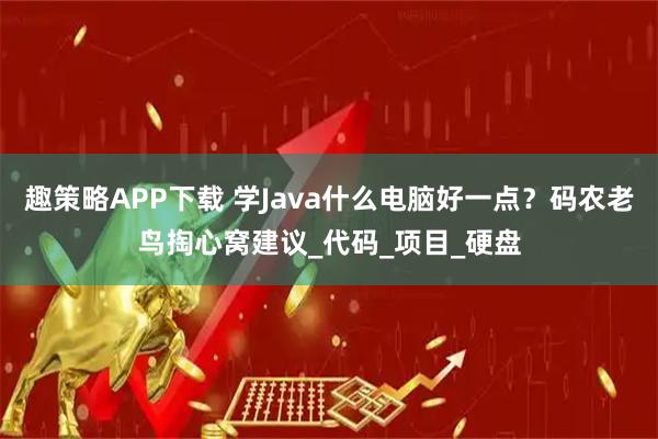 趣策略APP下载 学Java什么电脑好一点？码农老鸟掏心窝建议_代码_项目_硬盘